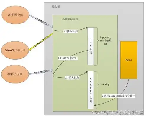 请检查服务器是否连接过，深入探讨服务器连接状态检测，原理、方法与实战