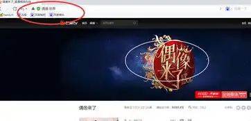 网站域名注册办法，无需身份证注册网站域名的可行途径及注意事项