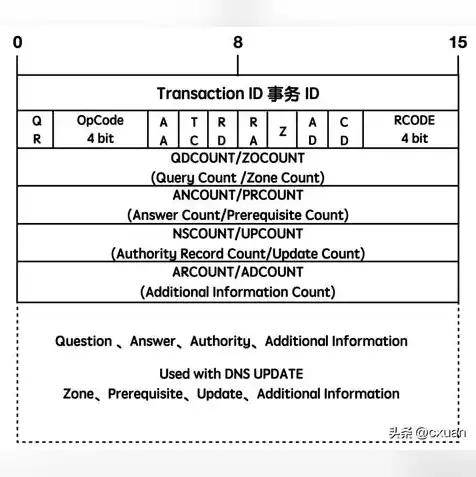 dns网络服务器未响应怎么解决windon11无线网络，Win11无线网络DNS服务器未响应解决方法详解