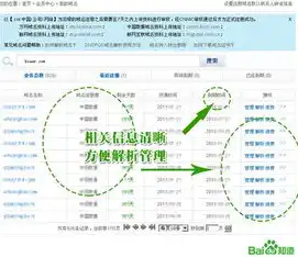 whois域名注册信息查询，深入解析WHOIS域名注册信息，揭秘域名背后的故事与价值