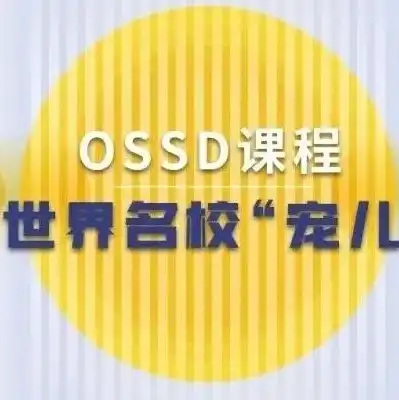 oss对象存储服务的读写权限可以设置为，深度解析，基于OSS对象存储服务的播放功能及其权限设置