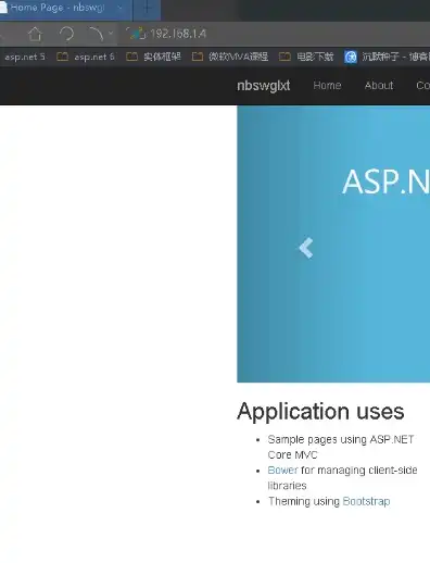 asp.net web服务器，深入解析ASP.NET Web服务器环境搭建及优化技巧