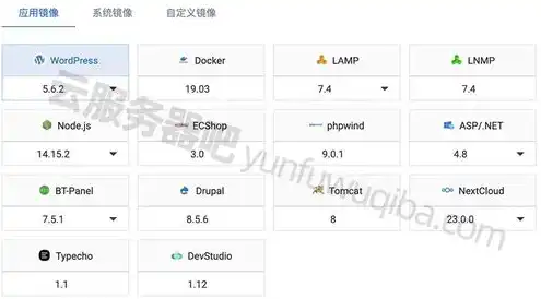 阿里云轻量级应用服务器和ecs，阿里云轻量应用服务器与ECS的全面对比，性能、应用场景及选型指南