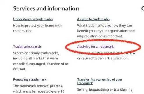 域名注册规定有哪些类型的商标呢英文，Types of Trademarks in Domain Name Registration Regulations: A Comprehensive Guide