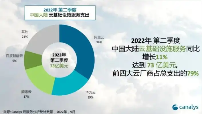 上海 云服务 企业，上海云服务公司全览，深度解析本地企业生态与发展趋势