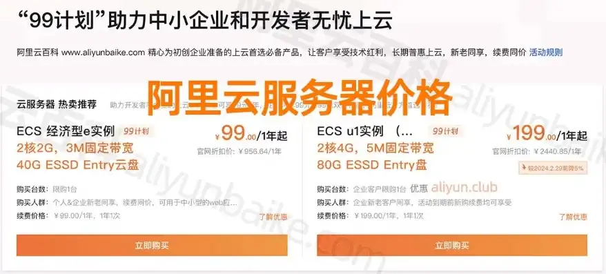 阿里云网站服务器多少钱一年，阿里云网站服务器性价比分析，一年费用详解及省钱攻略