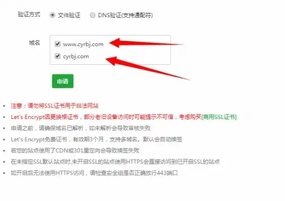 域名注册信息认证失败什么意思，域名注册信息认证失败，原因分析及应对策略详解