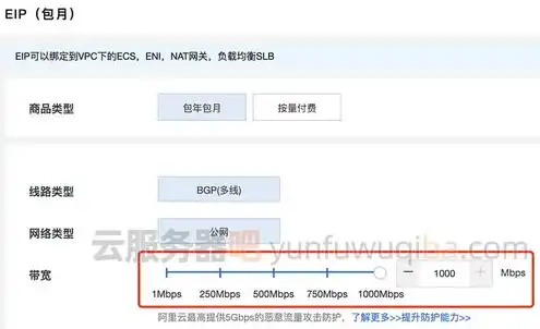 阿里云服务器100m带宽费用，阿里云服务器20M宽带费用解析，性价比与适用场景全面剖析