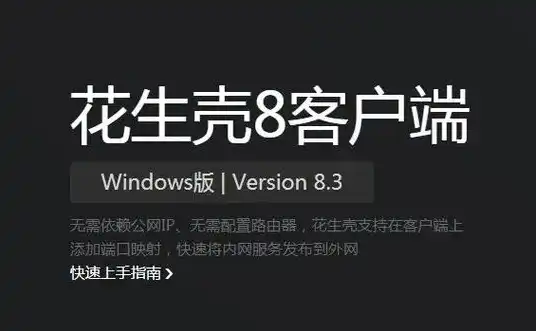 花生壳免费域名注册网址，花生壳免费域名注册攻略，轻松开启您的个人网络之旅