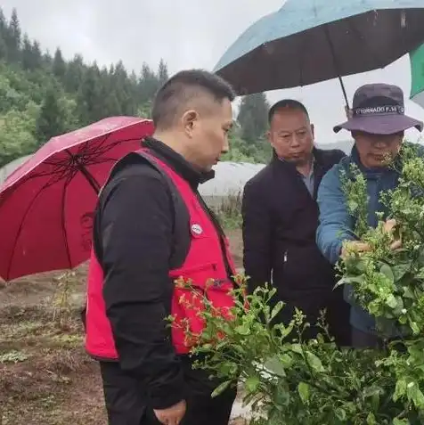 云服务费用如何记账，云服务费用会计科目设置与记账方法详解