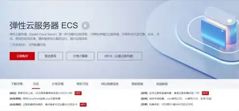 云服务器ecs是干什么的软件，云服务器ECS，企业数字化转型的新引擎