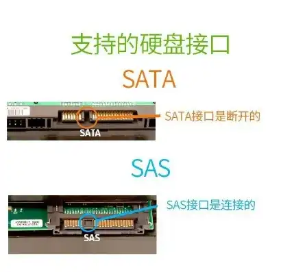 vps主机和云主机的区别在哪儿，VPS主机与云主机，深度解析两者的差异与应用场景