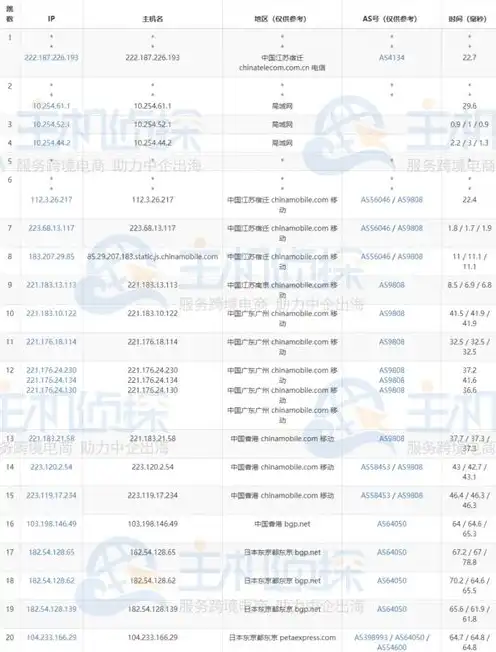 日本服务器租赁，2023年度日本服务器租用价格表全面解析，性能、服务与性价比的完美结合