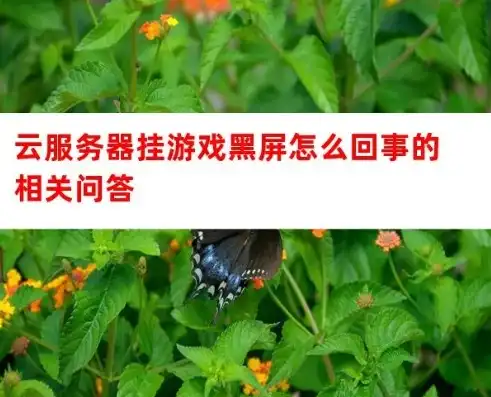 云服务器游戏黑屏怎么升级驱动程序呢，云服务器游戏黑屏解决攻略，详细解析如何升级驱动程序