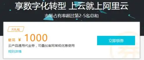 阿里云服务器 崩溃，深入剖析阿里云服务器崩溃，原因、影响及应对策略