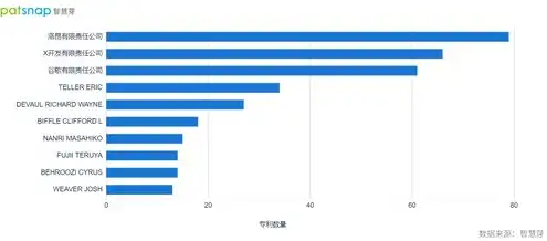 上行带宽赚钱项目，揭秘，如何通过上行带宽赚钱，打造高收益网络服务器项目