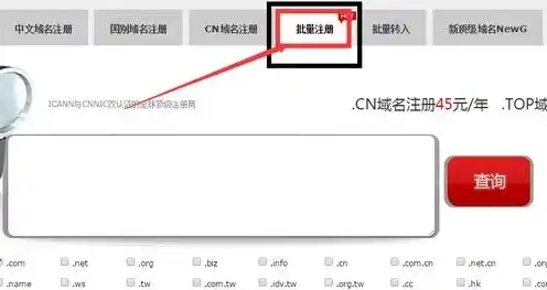 .cn域名怎么注册，2023最新攻略教你如何轻松注册.cn域名，全面解析注册流程及注意事项