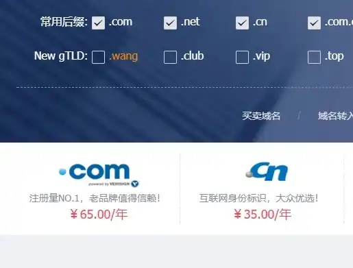哪里注册域名最便宜呢，全网最全域名注册攻略，揭秘全球最便宜的域名注册平台！