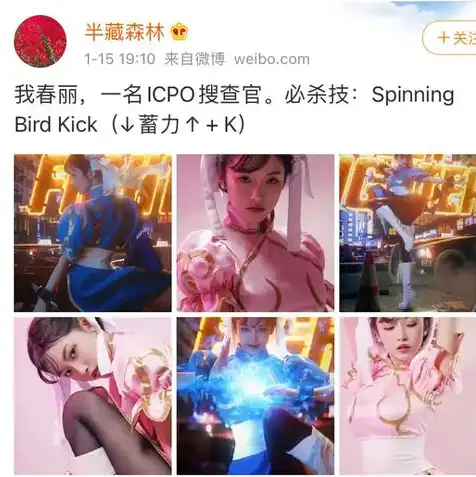 cos对象存储是什么，深度解析，如何高效利用腾讯云COS对象存储，实现数据存储与管理的最佳实践