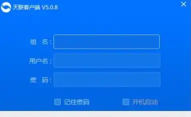 金万维天联客户端，金万维天联高级服务器深度解析，功能、优势及实际应用案例