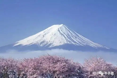 日本樱花云服务器网站地址，探索日本樱花云服务器网站，一站式云服务解决方案引领行业新风向