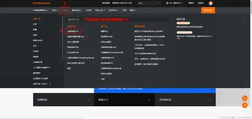 云服务器ecs使用教程，深入解析云服务器ECS，使用教程及实用技巧全攻略