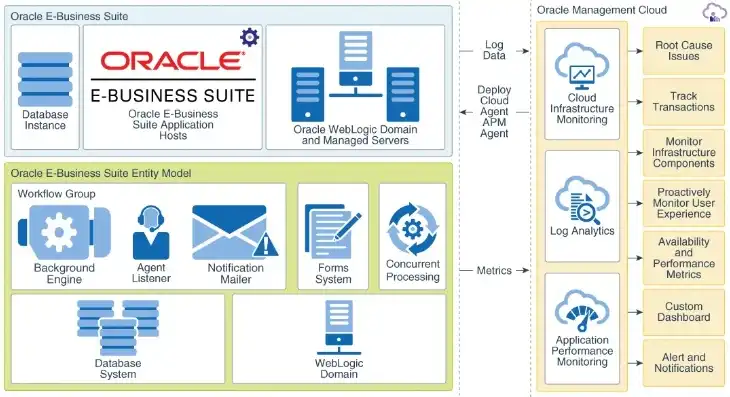 oracle云服务器永久免费，探索Oracle云服务器永久免费服务，为企业降本增效的绝佳选择