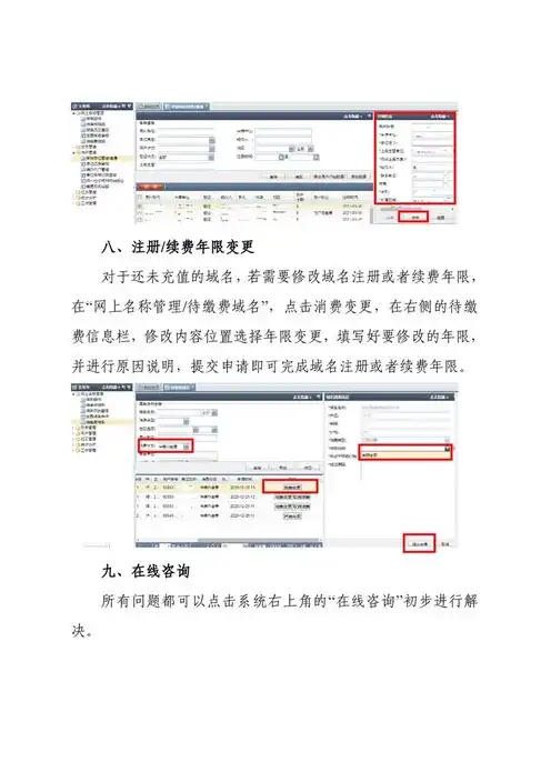 注册网站域名流程，一站式指南，注册网站域名的完整流程及入口详解