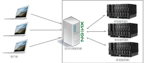 云服务器能干啥用啊，云服务器应用广泛，带你深入了解其无限可能