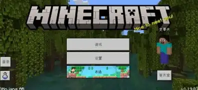 我的世界国内服务器，探索国内Minecraft服务器，畅游虚拟世界的精彩之旅