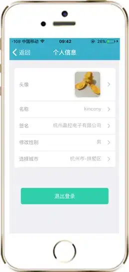 vps用户名一般是什么，VPS主机名设置技巧，打造个性化域名，彰显品牌特色