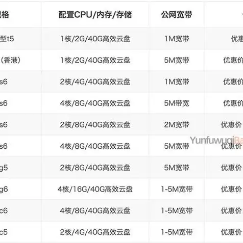 租用云服务器怎么选购，云服务器租用指南，如何选购适合自己的云服务器