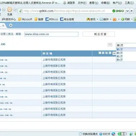 网站域名注册信息查询，揭秘网站域名注册商，如何查询域名注册信息及注意事项