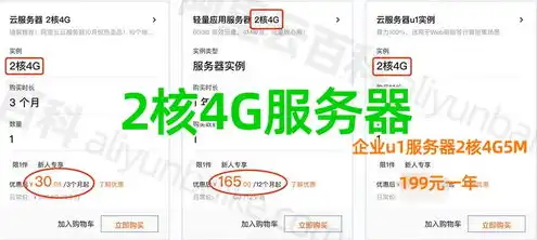 阿里云vps多少钱一个月，阿里云VPS服务器购买指南，价格解析与选购技巧