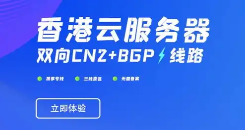 香港云服务器租用多少钱一个月，香港云服务器租用费用解析，性价比与服务的完美平衡