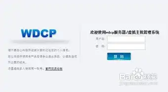 vps主机怎么用，VPS主机名填写指南，助力您的服务器高效运行