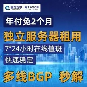 100m云服务器租用，揭秘100M云服务器租用性价比之王，国内最便宜云服务器的秘密大公开！