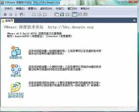 vm虚拟机破解版下载，深度解析，VMware虚拟机破解版防闪退技巧，告别卡顿，畅享虚拟化体验！