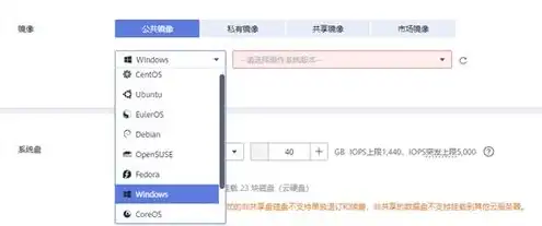 云服务器一般用什么系统的，云服务器系统选择指南，深入解析主流云服务器操作系统