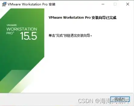 vmware虚拟机插u盘蓝屏，VMware虚拟机插U盘导致蓝屏问题的原因分析与解决方法