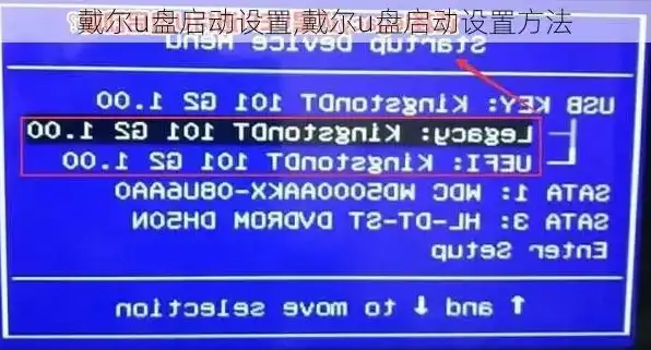 戴尔服务器设置u启动，戴尔U1服务器U启动设置全攻略，轻松开启高效运行新篇章