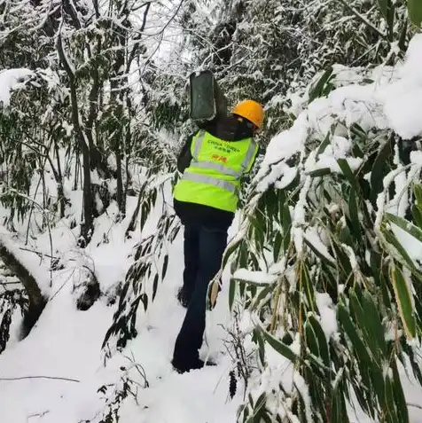 2021暴雪维护公告，关于暴雪游戏服务器维护的公告及维护内容详解