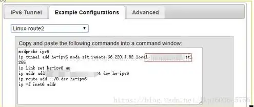 linux服务器配置ipv6地址，Linux服务器IPv6地址配置详解及实践指南