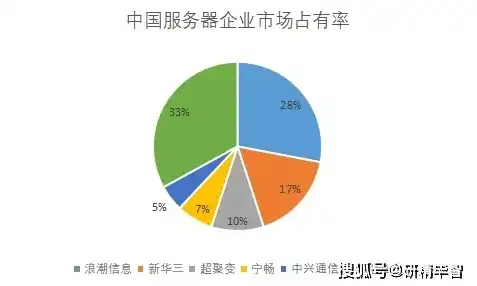 国内服务器厂商有哪些，盘点我国服务器市场，国内服务器厂商崛起，创新驱动产业发展