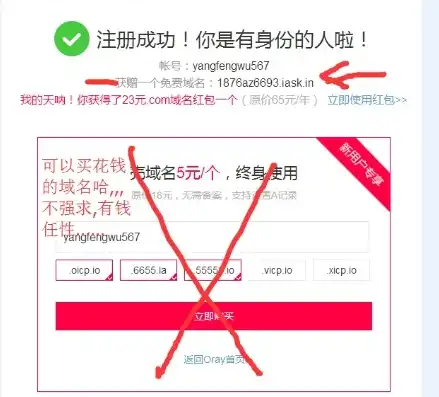 花生壳域名注册要钱吗，花生壳域名注册全攻略，免费域名申请，详细教程及注意事项解析