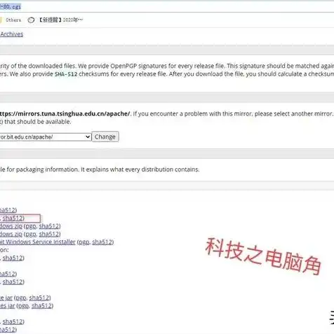 javaweb部署到云服务器，深入解析Java Web应用在云服务器上的部署策略与实践