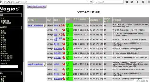 云主机 checkcabl，探索云主机Chia，CheckCabl的独特魅力与优势解析