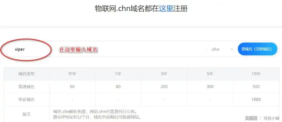 中国域名注册网，中国域名注册攻略，全面解析域名注册流程及注意事项