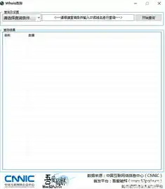 域名注册信息(whois)查询，深入解析域名Whois注册信息查询，了解域名归属与保护