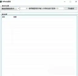 域名注册信息(whois)查询，深入解析域名Whois注册信息查询，了解域名归属与保护